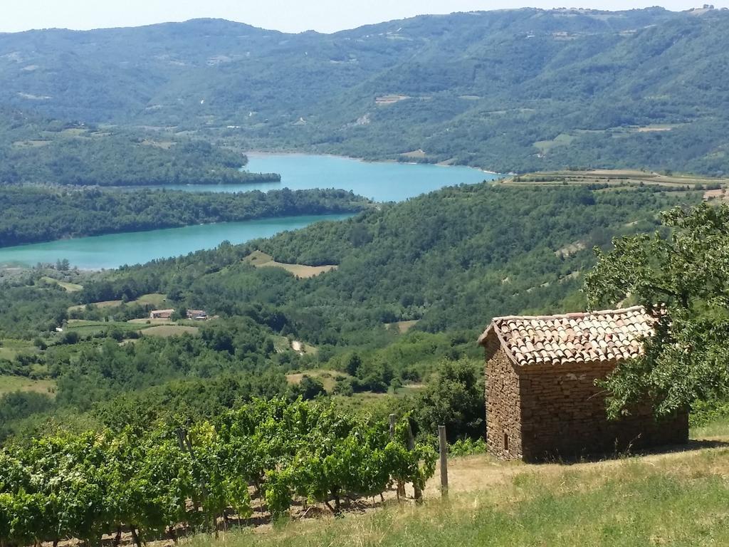 Al Merlo Olivo, Rural Istrian House Buje Extérieur photo