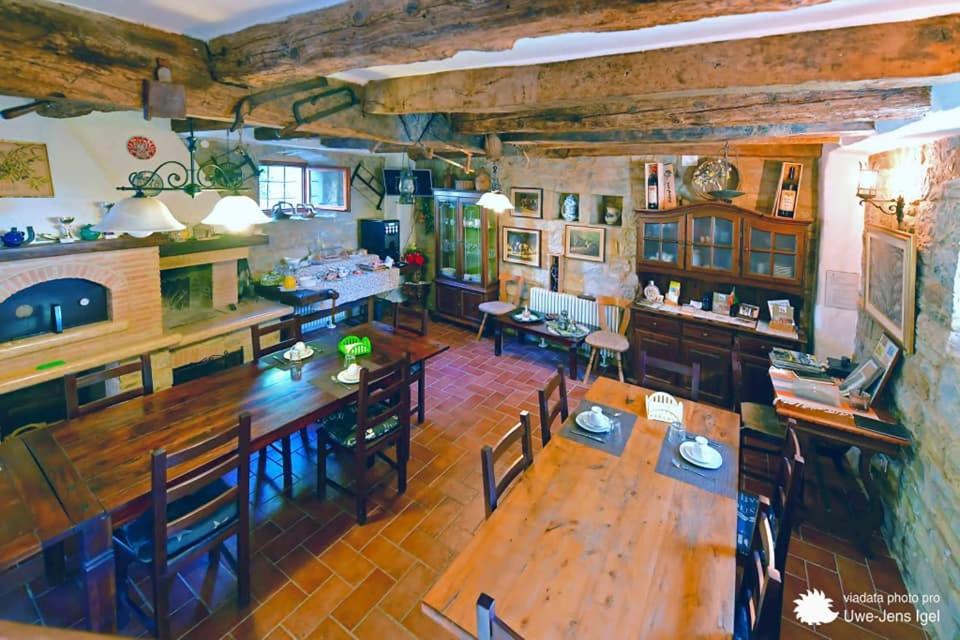 Al Merlo Olivo, Rural Istrian House Buje Extérieur photo