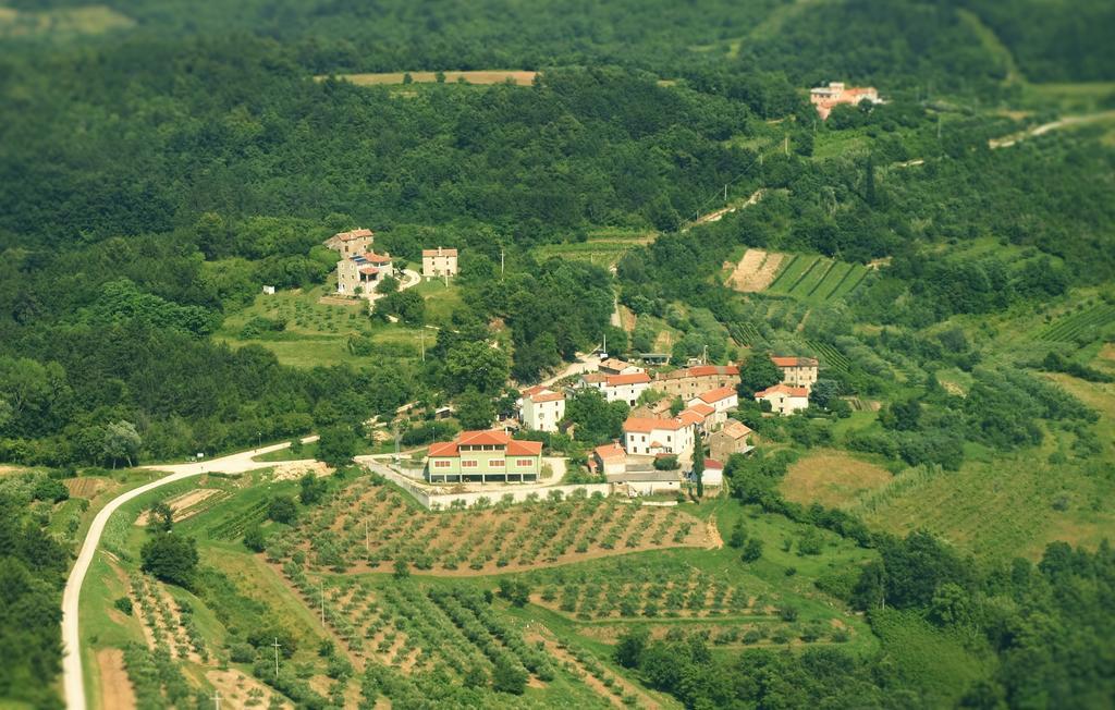 Al Merlo Olivo, Rural Istrian House Buje Extérieur photo