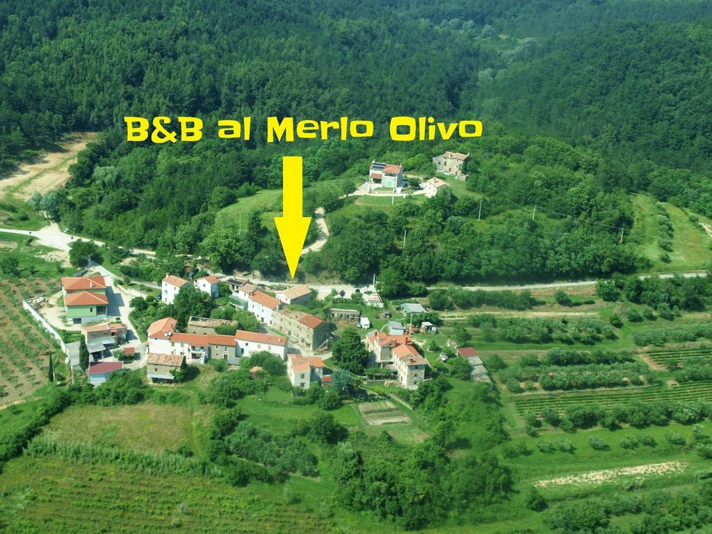 Al Merlo Olivo, Rural Istrian House Buje Extérieur photo