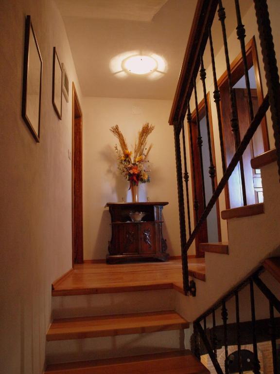 Al Merlo Olivo, Rural Istrian House Buje Extérieur photo