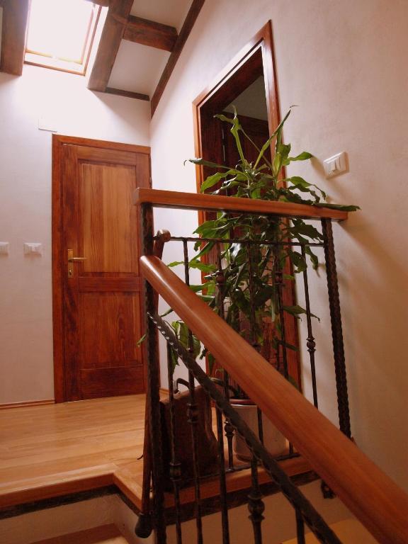 Al Merlo Olivo, Rural Istrian House Buje Extérieur photo