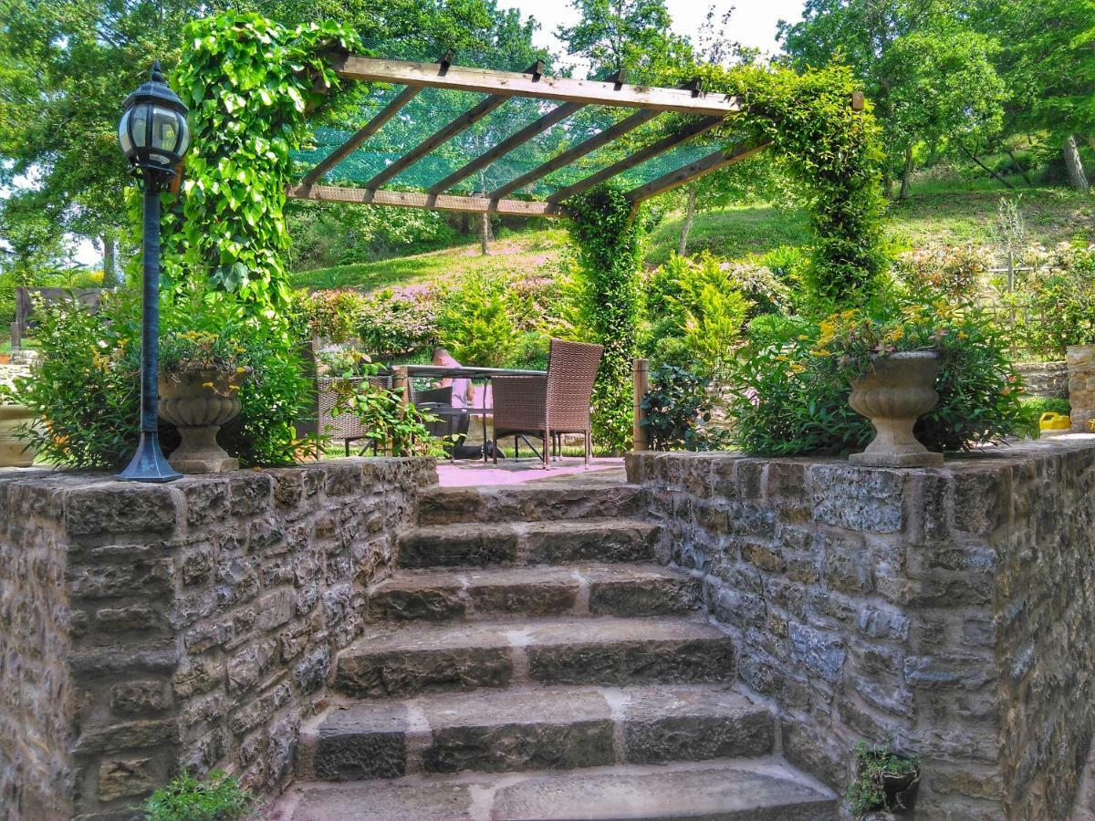 Al Merlo Olivo, Rural Istrian House Buje Extérieur photo