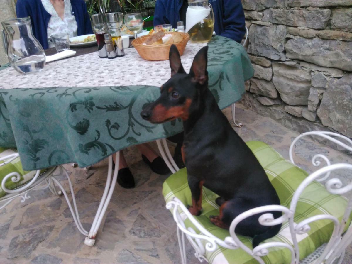 Al Merlo Olivo, Rural Istrian House Buje Extérieur photo
