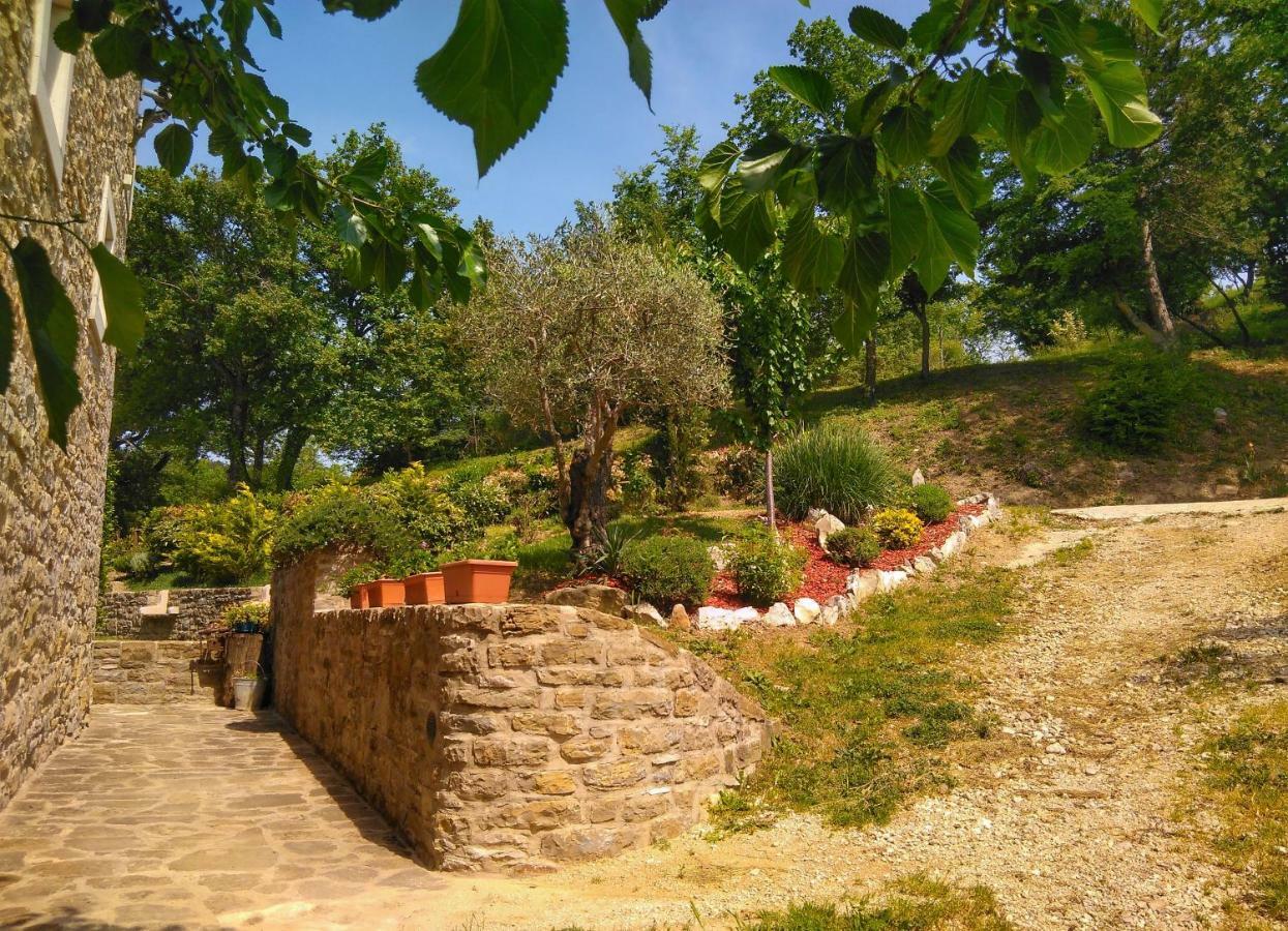Al Merlo Olivo, Rural Istrian House Buje Extérieur photo